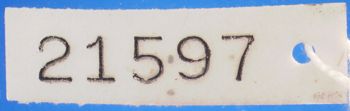Media type: image; Herpetology A-21597